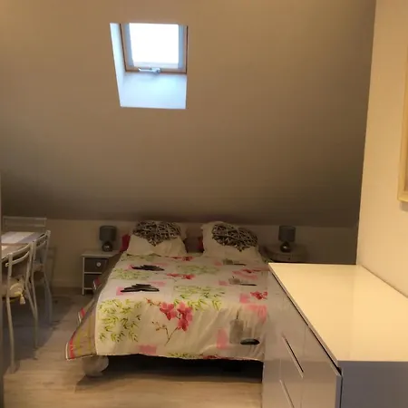 gites et chambres d'hotes les roses thé Hauterives Exterior foto